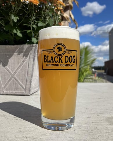 black dog brewing draft beer outside