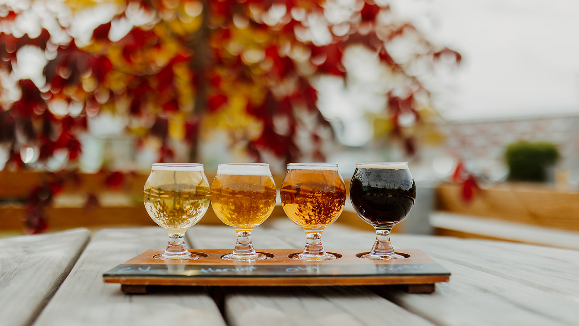 fall beer flight